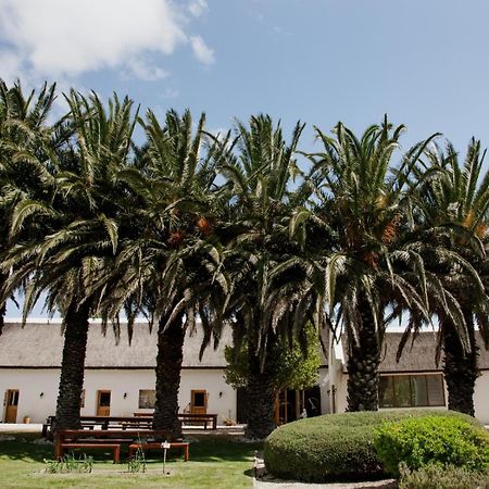 فندق Springfontein Wine Estate ستانفورد المظهر الخارجي الصورة