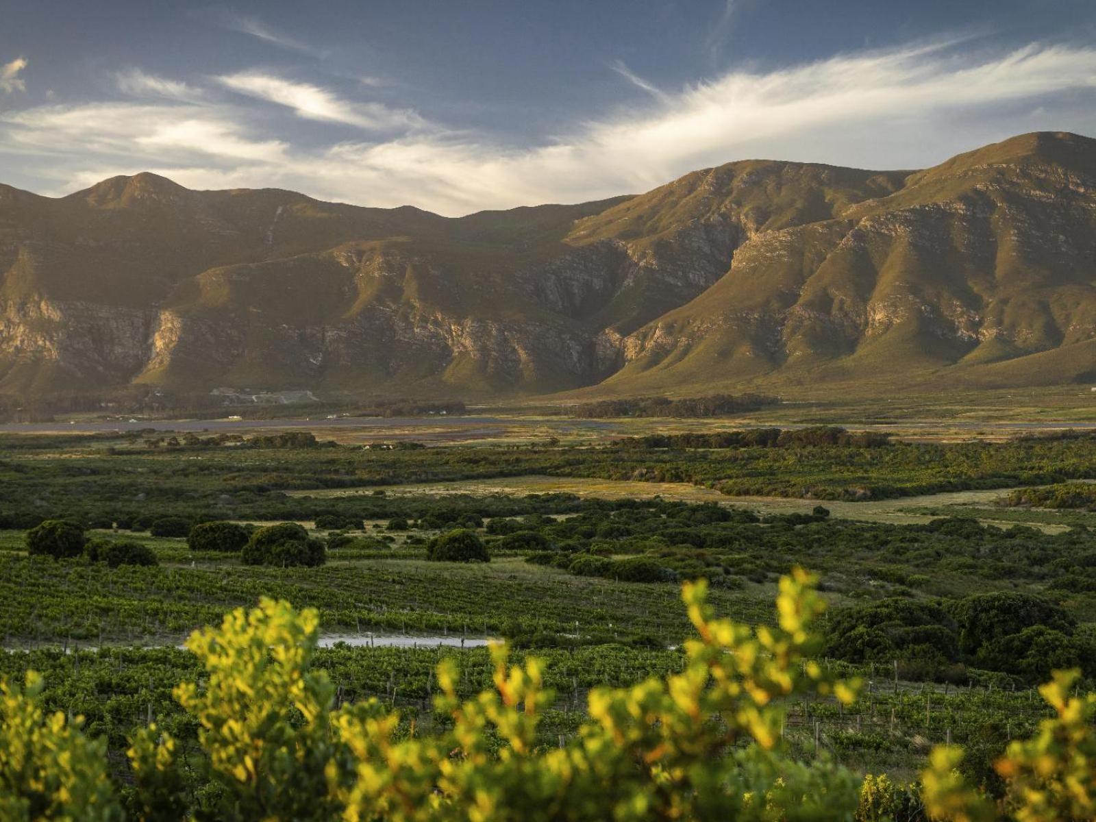 فندق Springfontein Wine Estate ستانفورد المظهر الخارجي الصورة