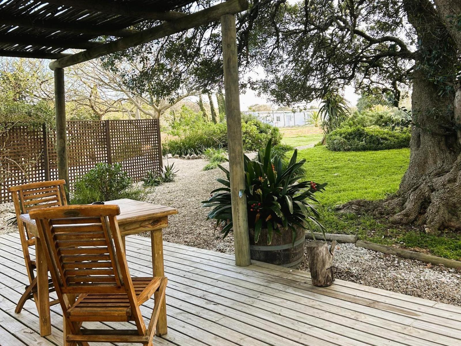 فندق Springfontein Wine Estate ستانفورد الغرفة الصورة